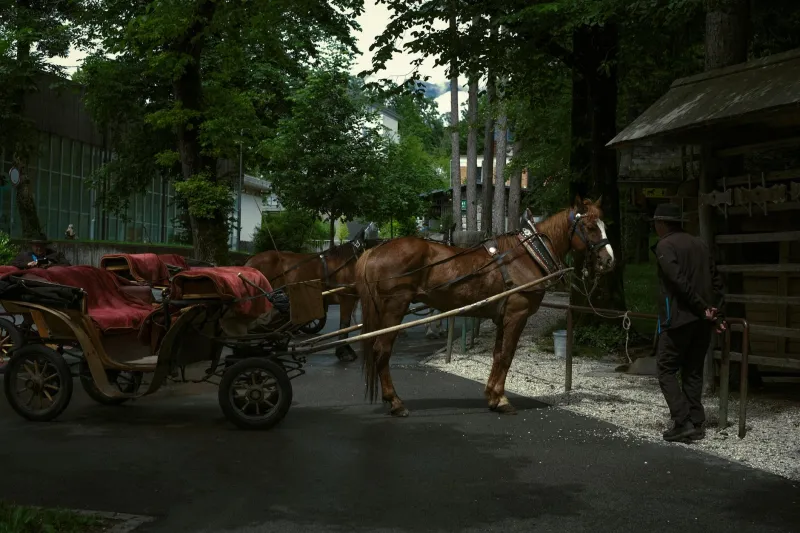 The Door-to-Door Cheese Salesman Who Accidentally Invented the Modern Grocery Store